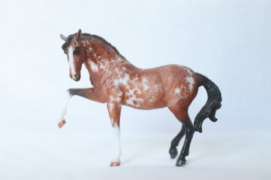 Etched Stablemate Andalusian