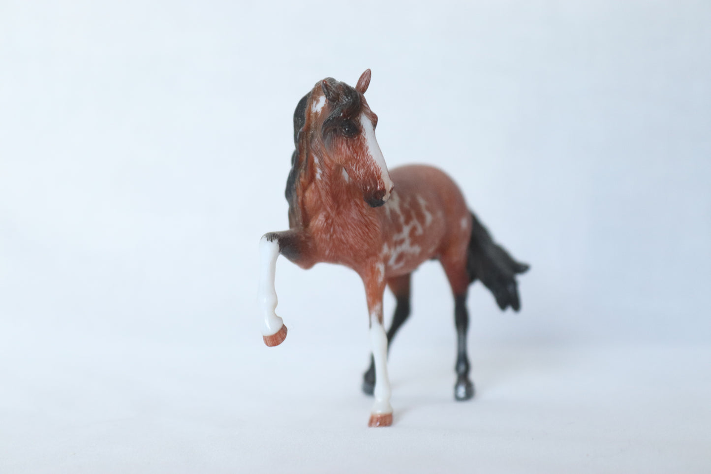 Etched Stablemate Andalusian