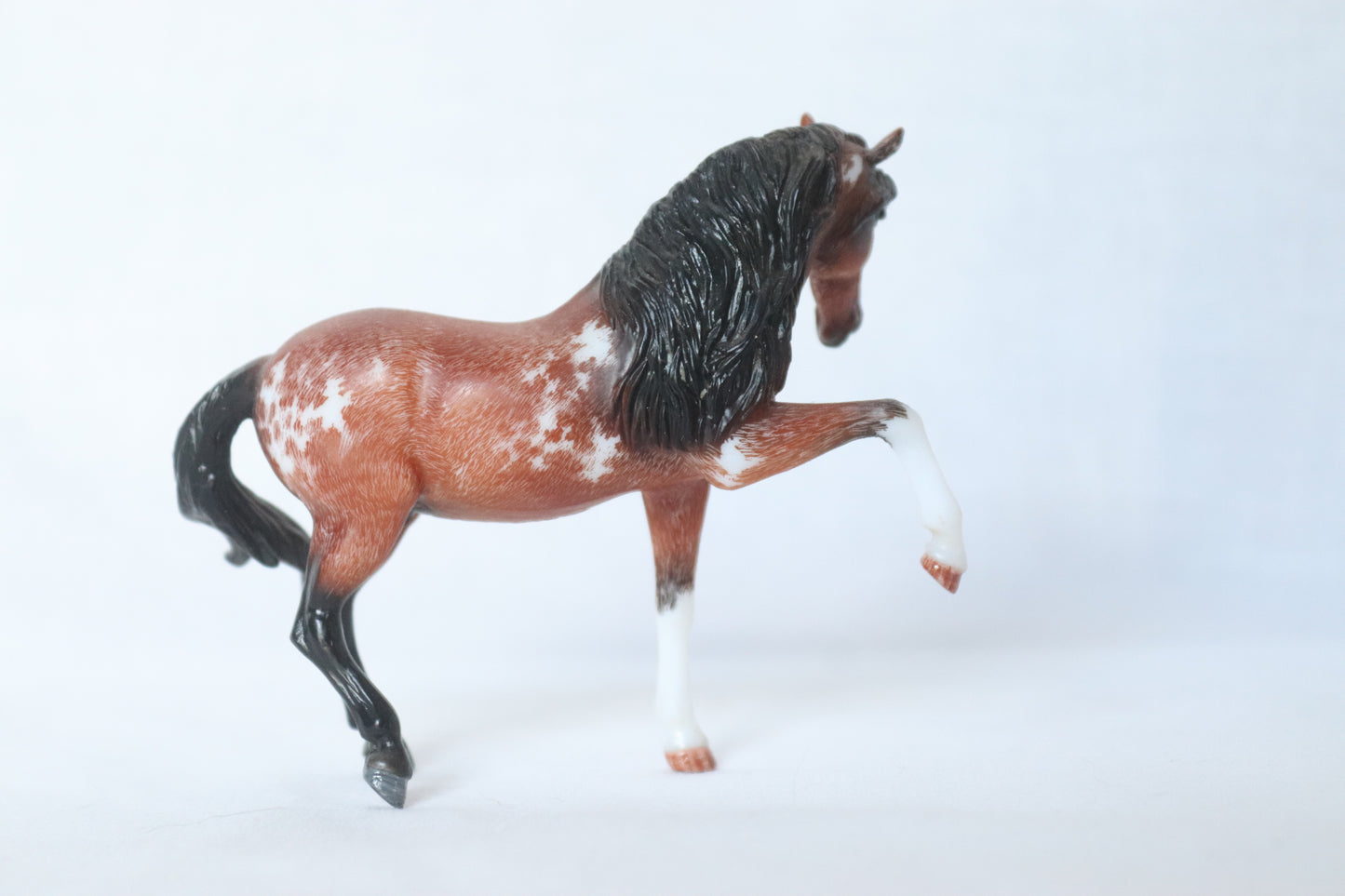 Etched Stablemate Andalusian