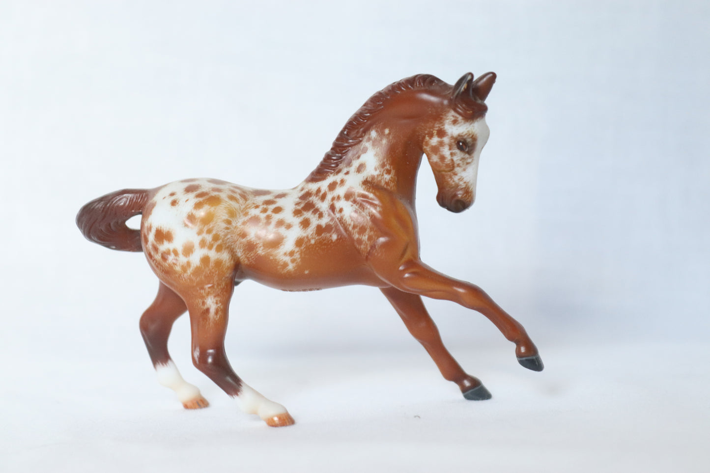 Custom Etched Warmblood Stablemate