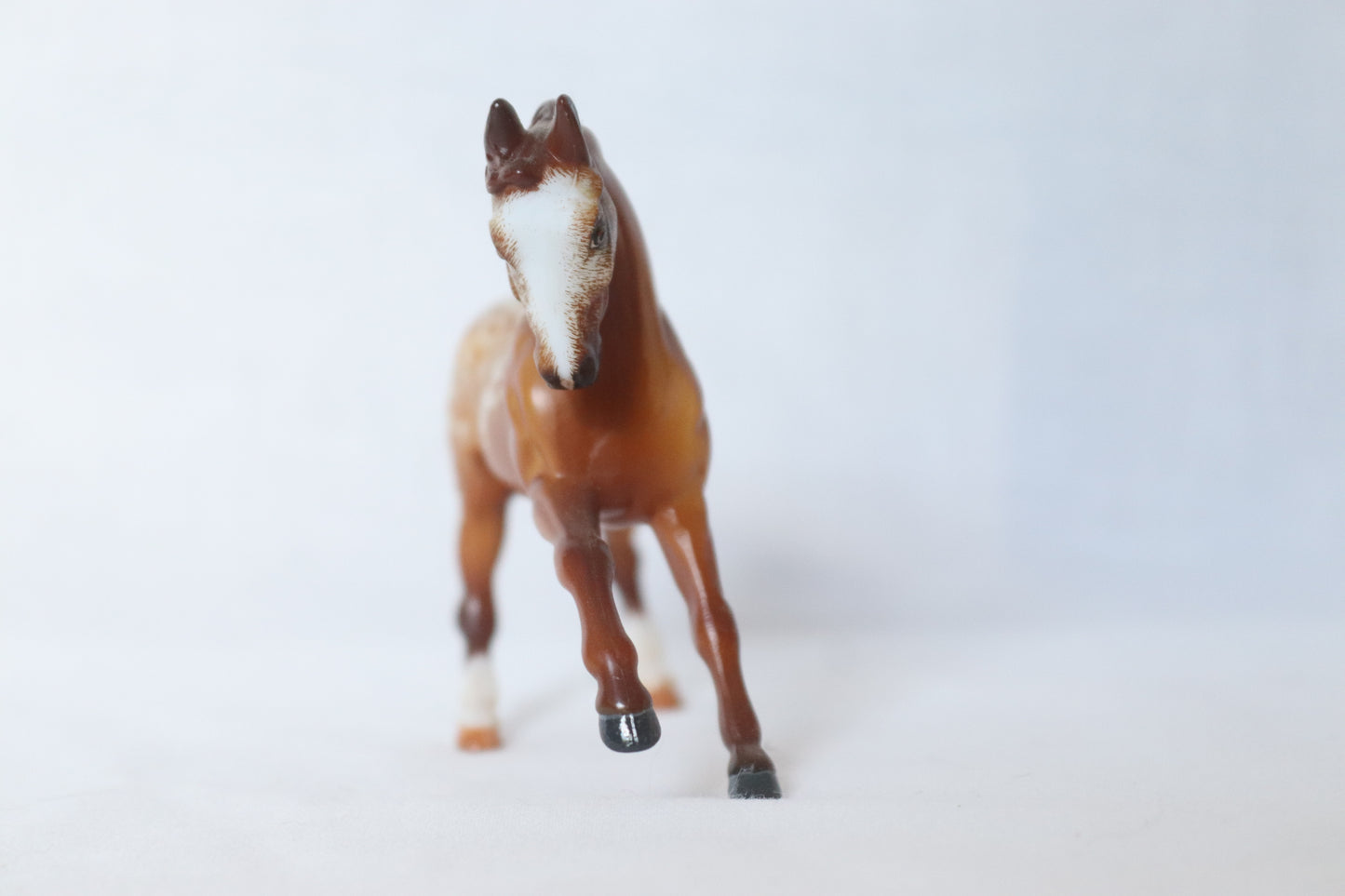 Custom Etched Warmblood Stablemate