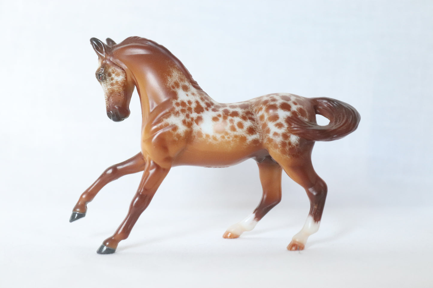 Custom Etched Warmblood Stablemate