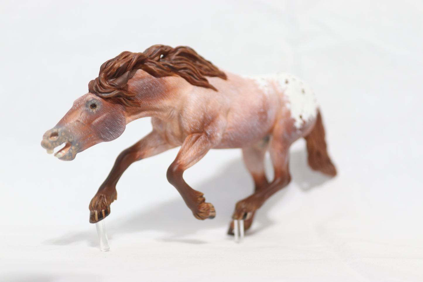 Varnish Appaloosa Artist Resin Bixby