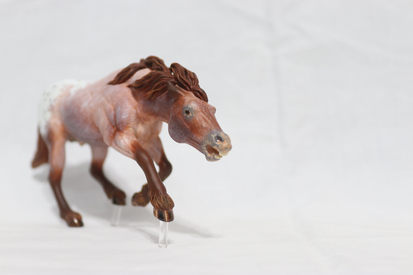 Varnish Appaloosa Artist Resin Bixby