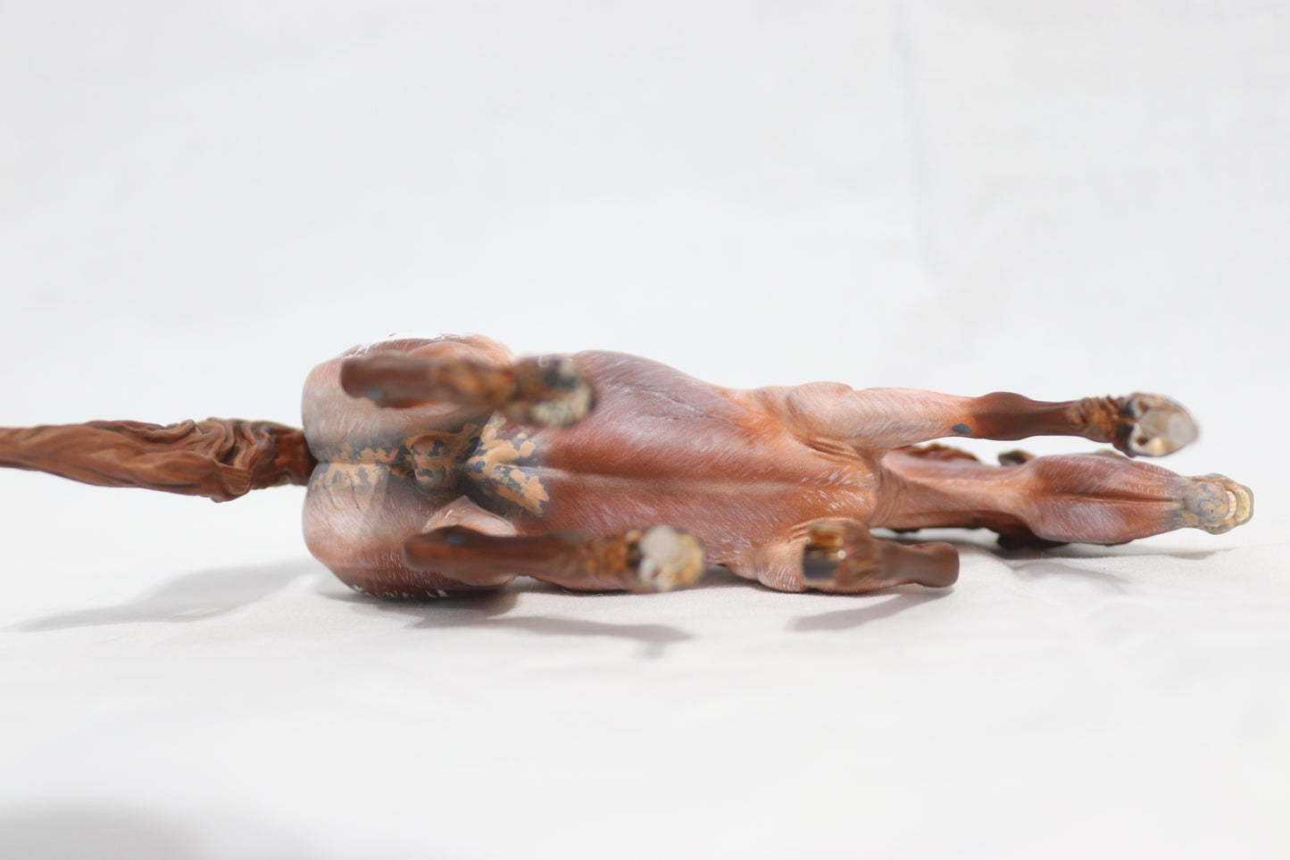 Varnish Appaloosa Artist Resin Bixby