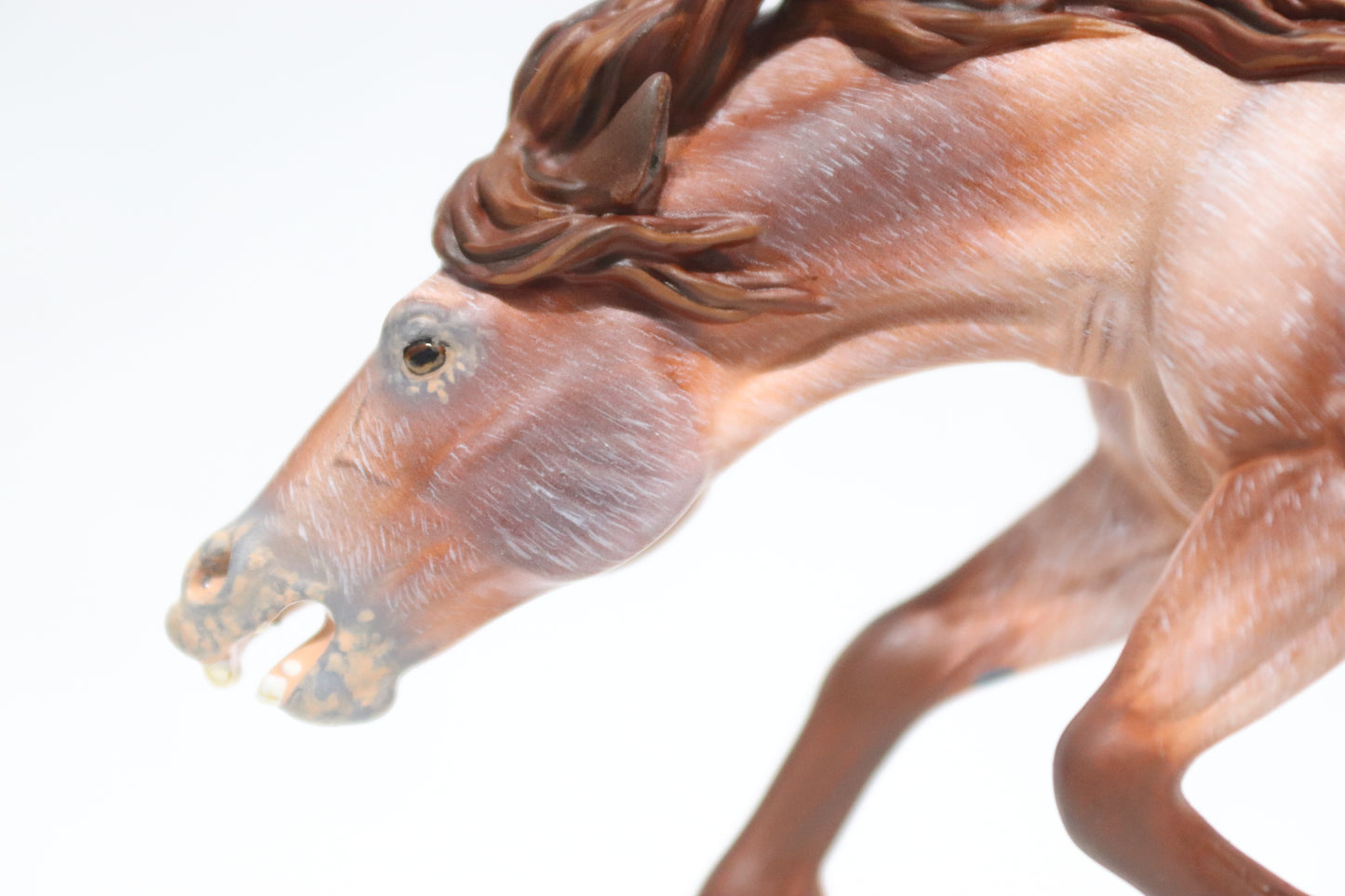 Varnish Appaloosa Artist Resin Bixby