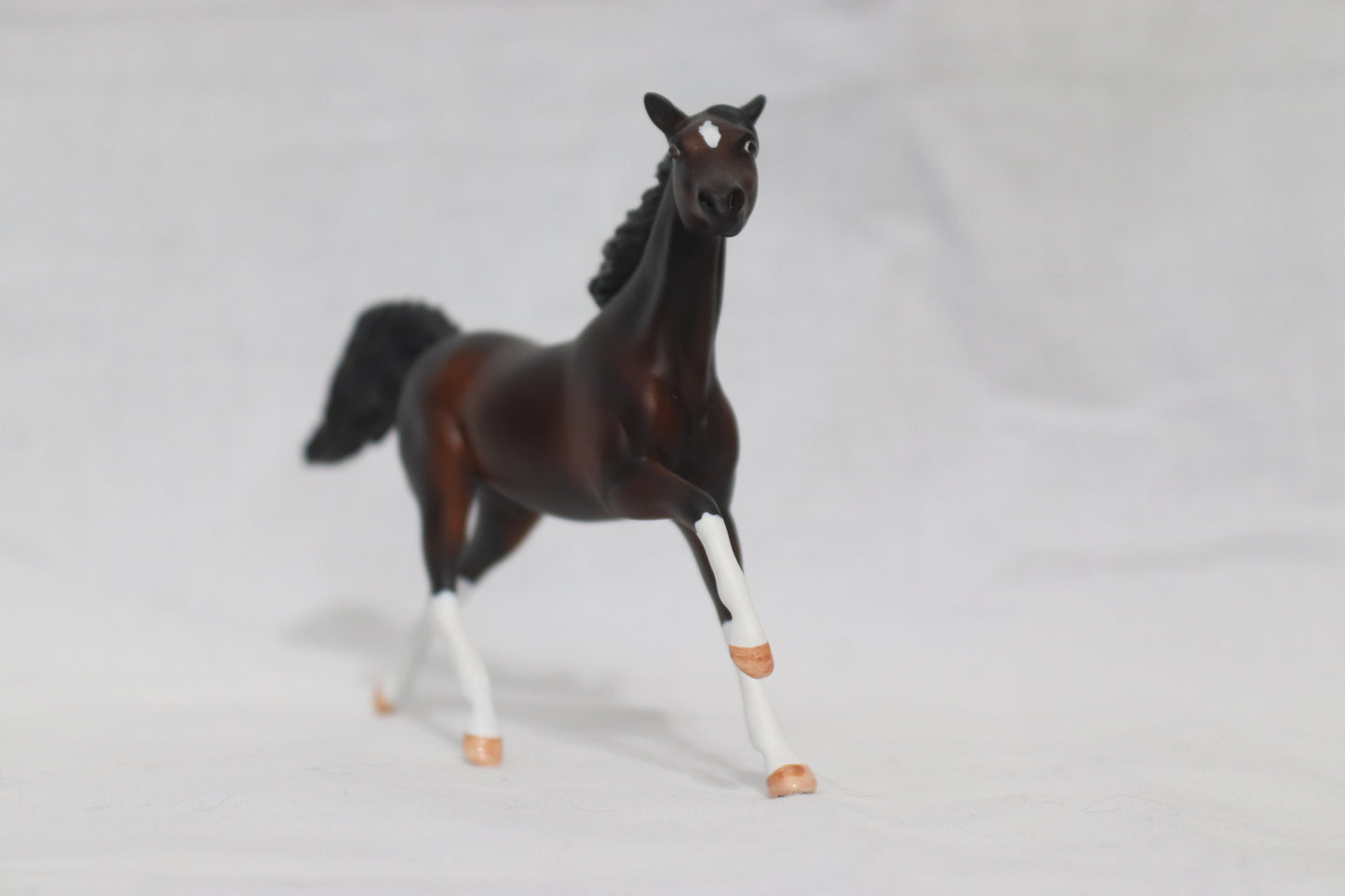 Re-positioned Custom Stablemate Magnolia