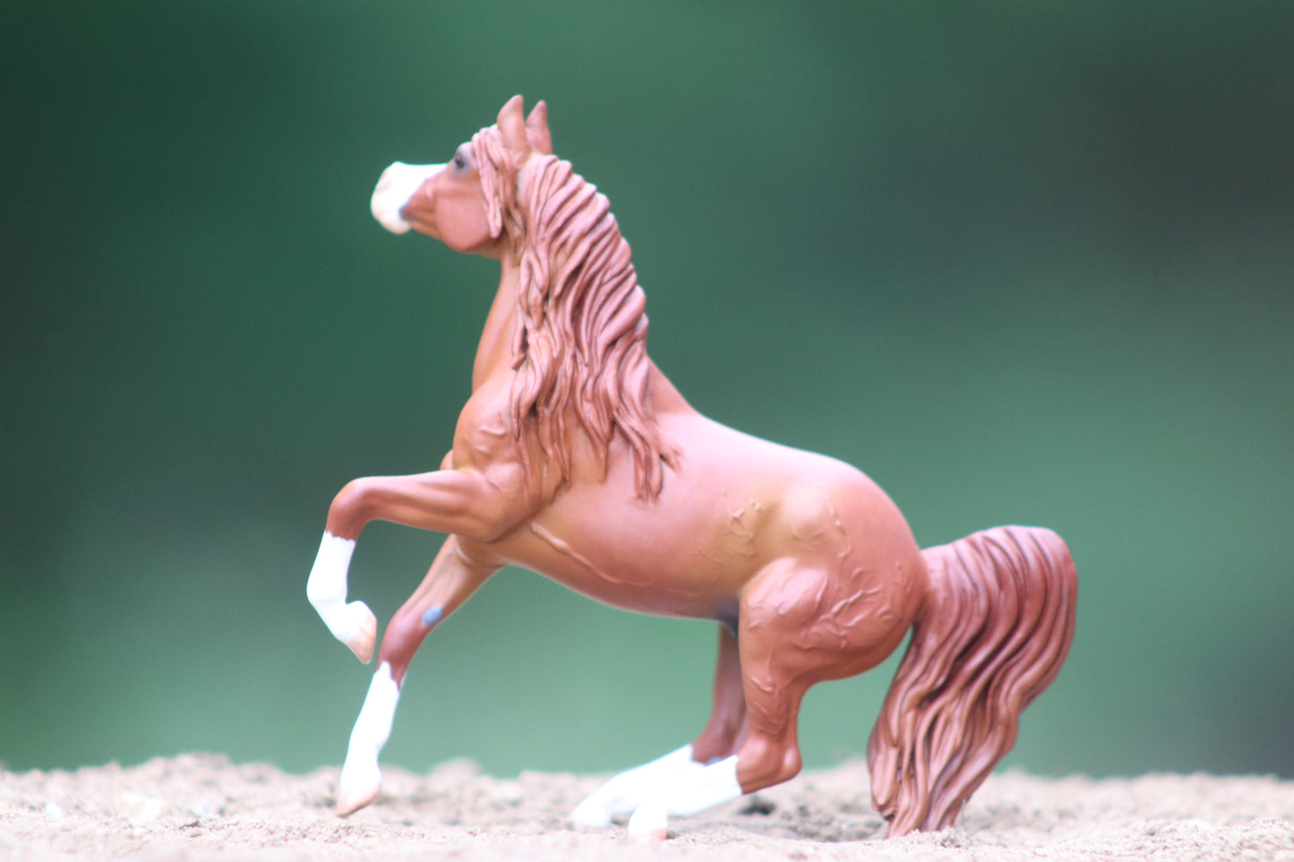 Custom stablemate Alborozo to Arabian