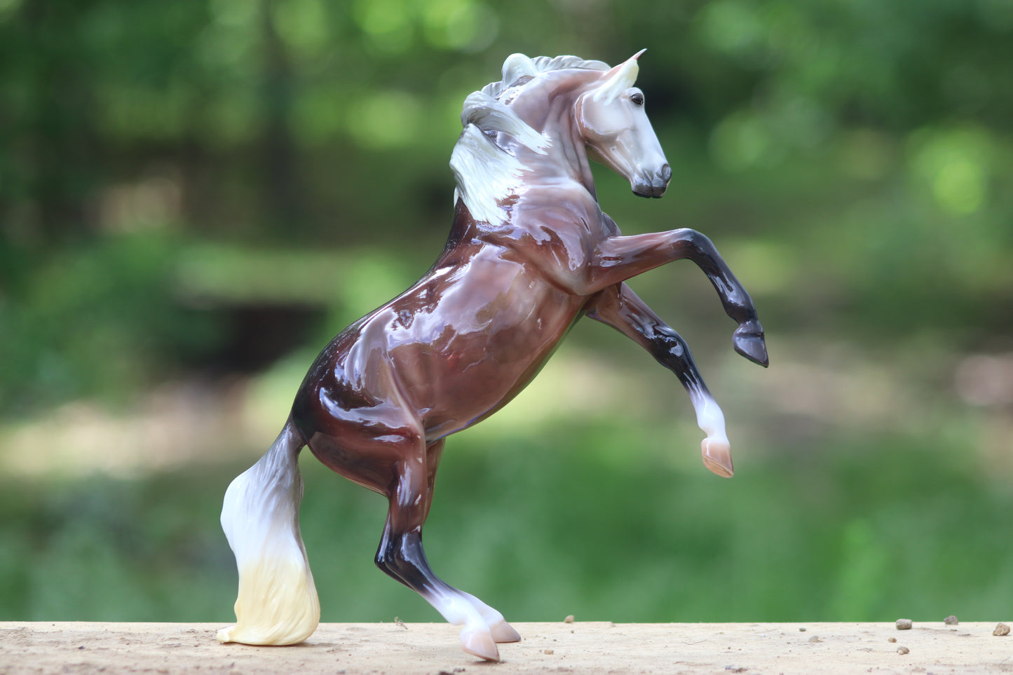 Breyer Premier Club Carmen