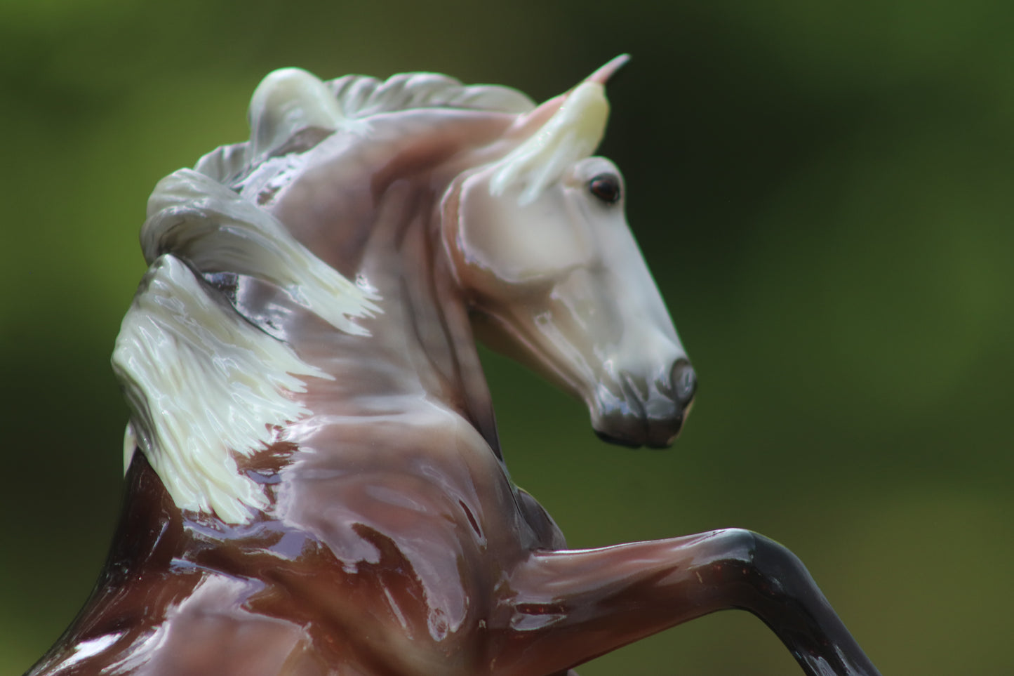 Breyer Premier Club Carmen