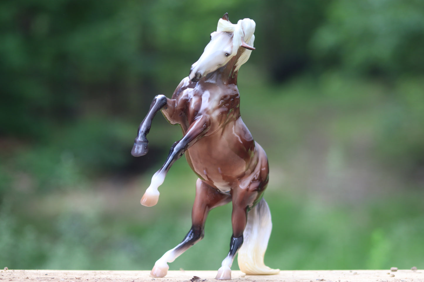 Breyer Premier Club Carmen