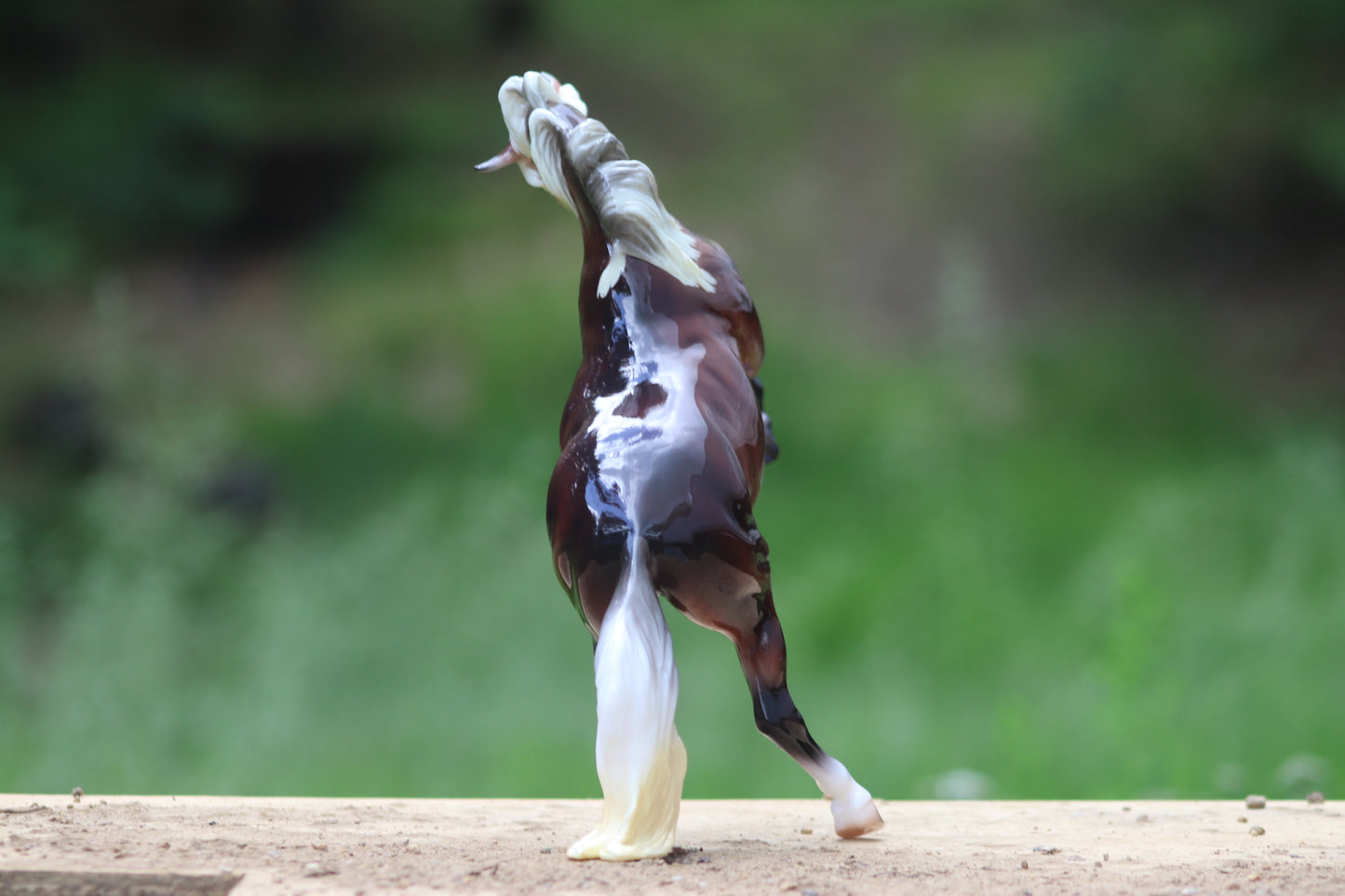 Breyer Premier Club Carmen