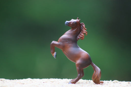 Custom stablemate Rearing Darwin
