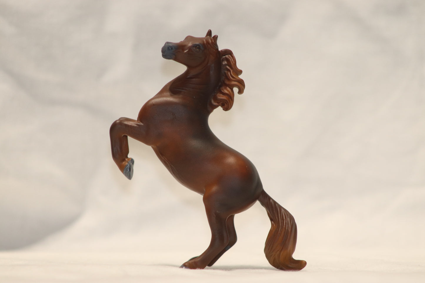 Custom stablemate Rearing Darwin