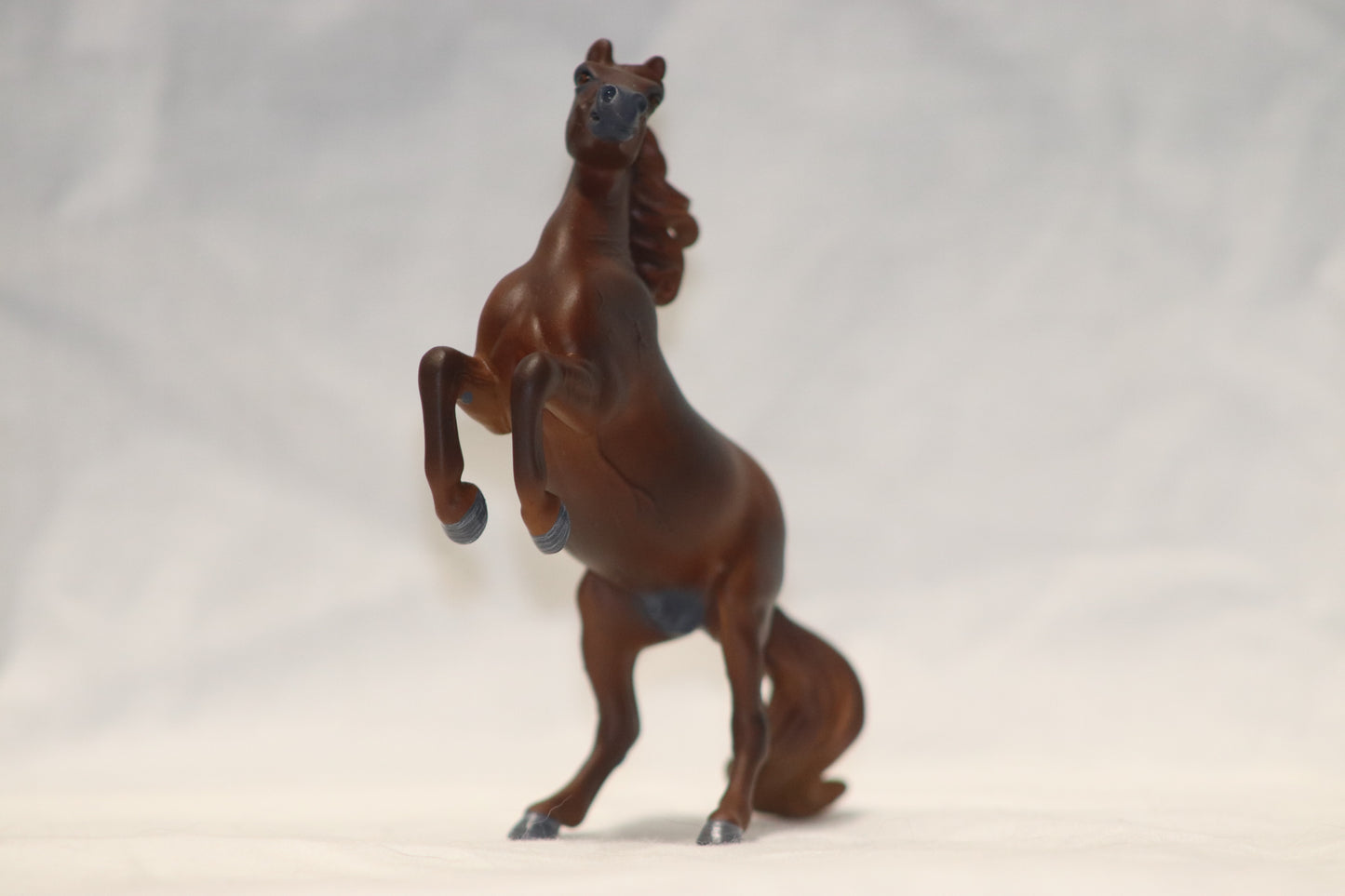 Custom stablemate Rearing Darwin