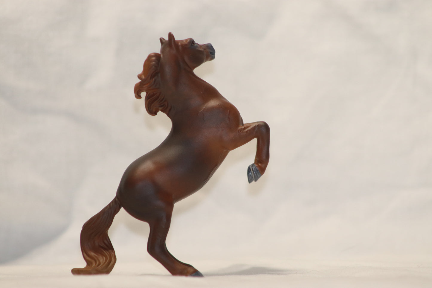 Custom stablemate Rearing Darwin