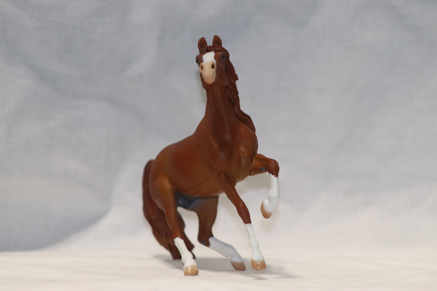 Custom stablemate Alborozo to Arabian