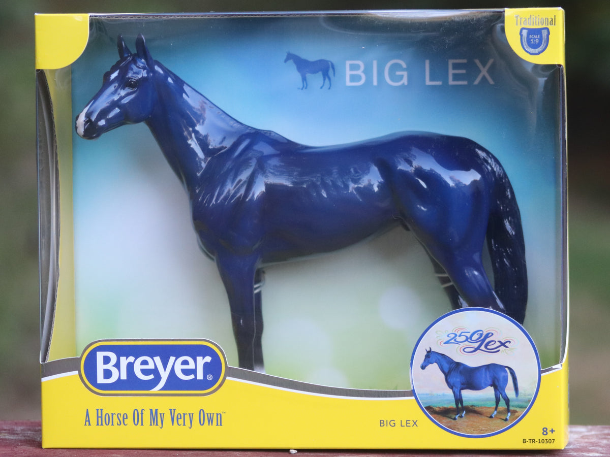 2026 Breyer CCA Glossy Big Lex