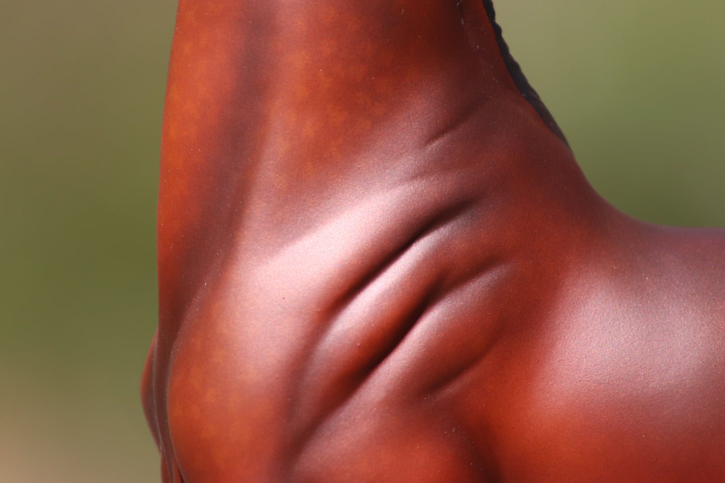 Custom Traditional Breyer Saddlebred