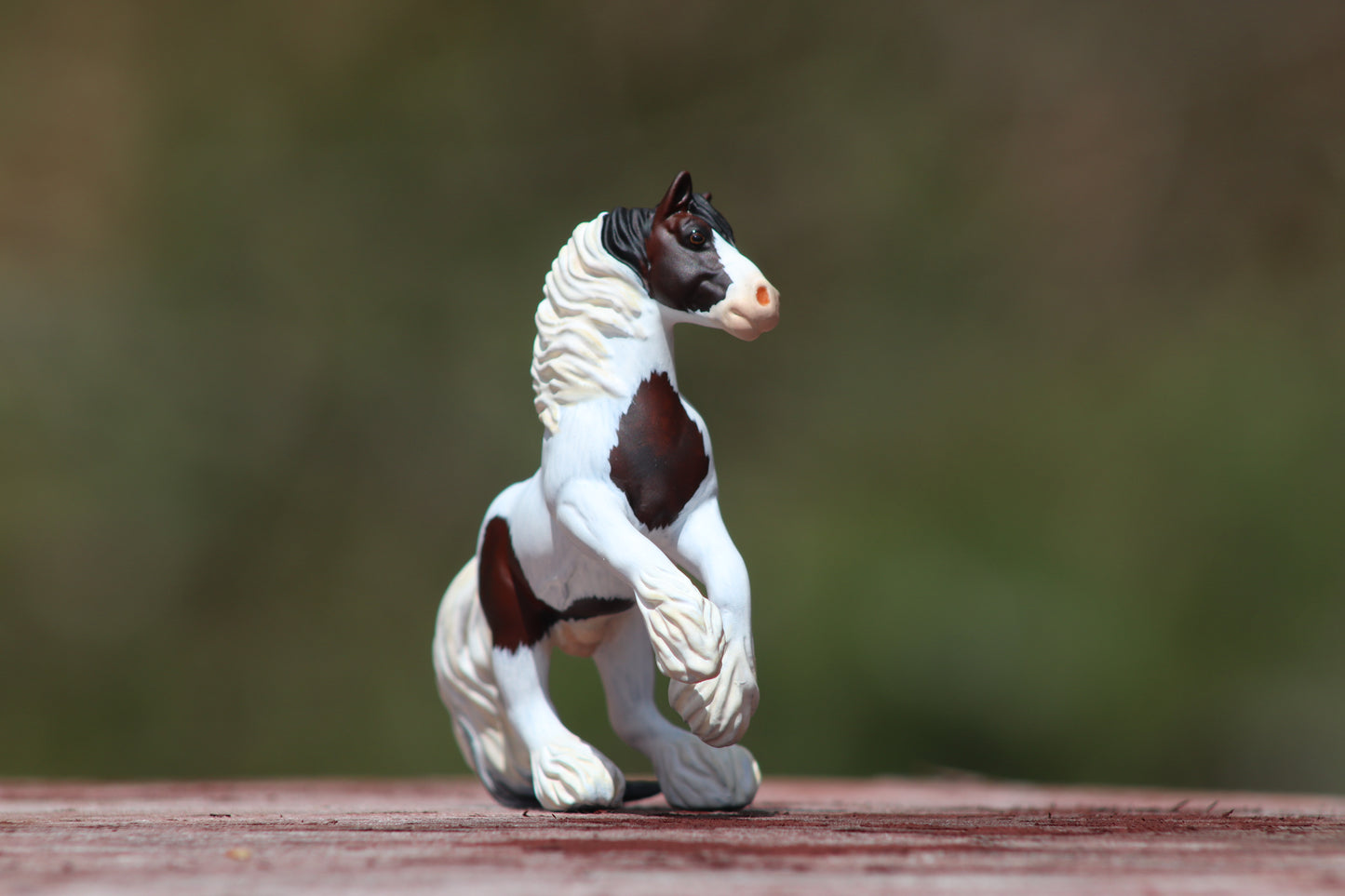LSP Custom Breyer Vaulting Draft