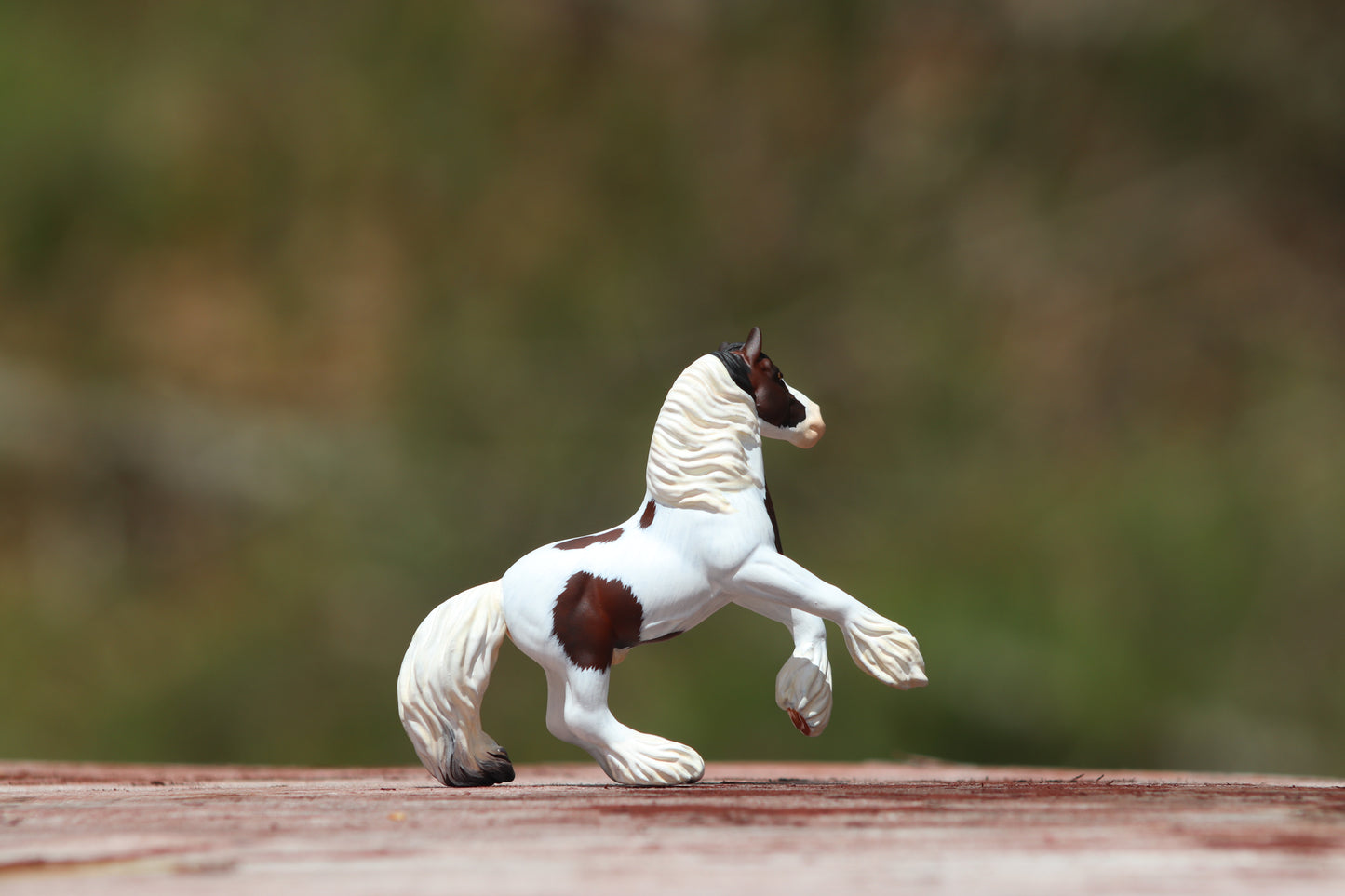 LSP Custom Breyer Vaulting Draft