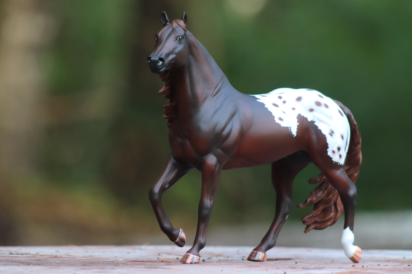 Custom Traditional Scale Breyer SCO