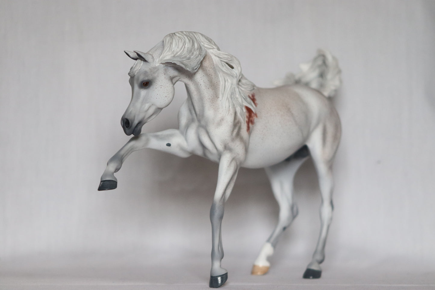 Custom Breyer Ashquar
