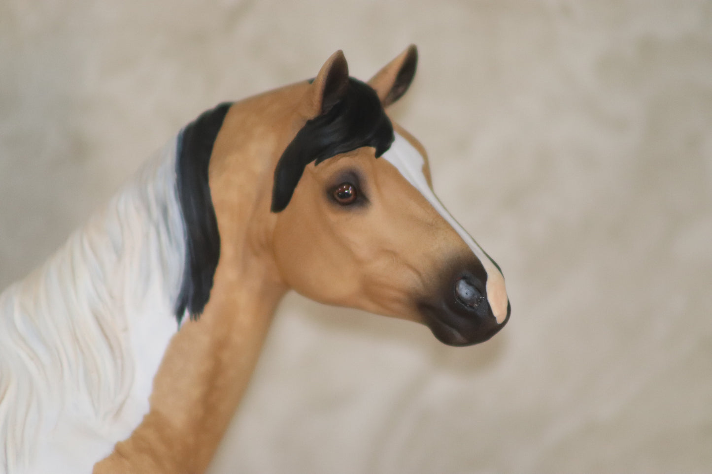 Custom Breyer Classic Stock Horse