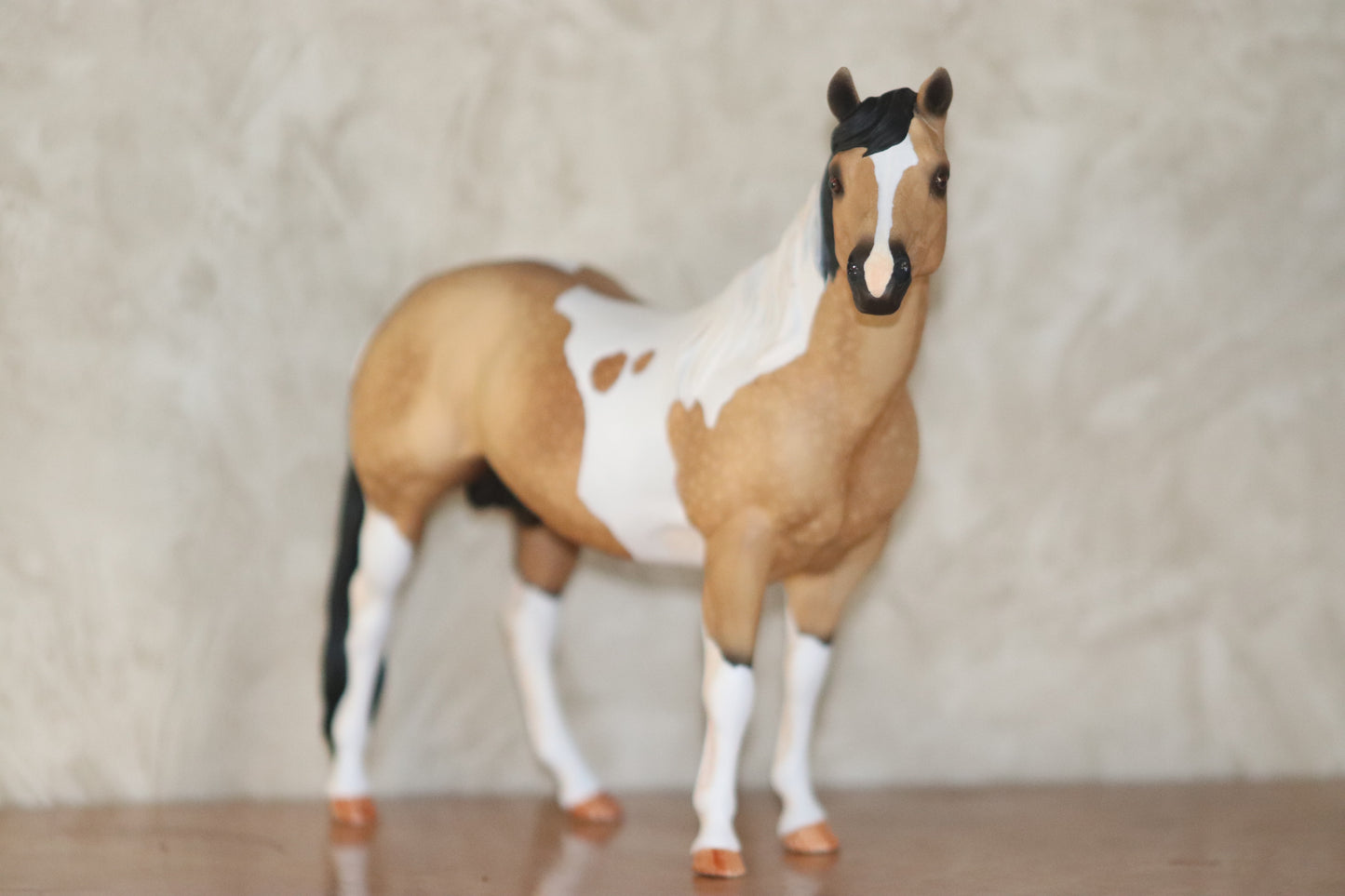 Custom Breyer Classic Stock Horse