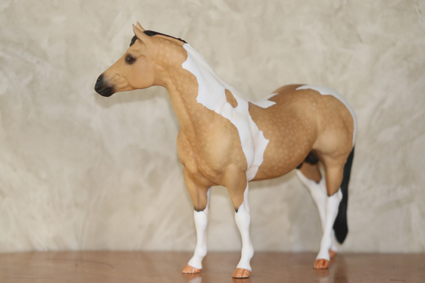 Custom Breyer Classic Stock Horse