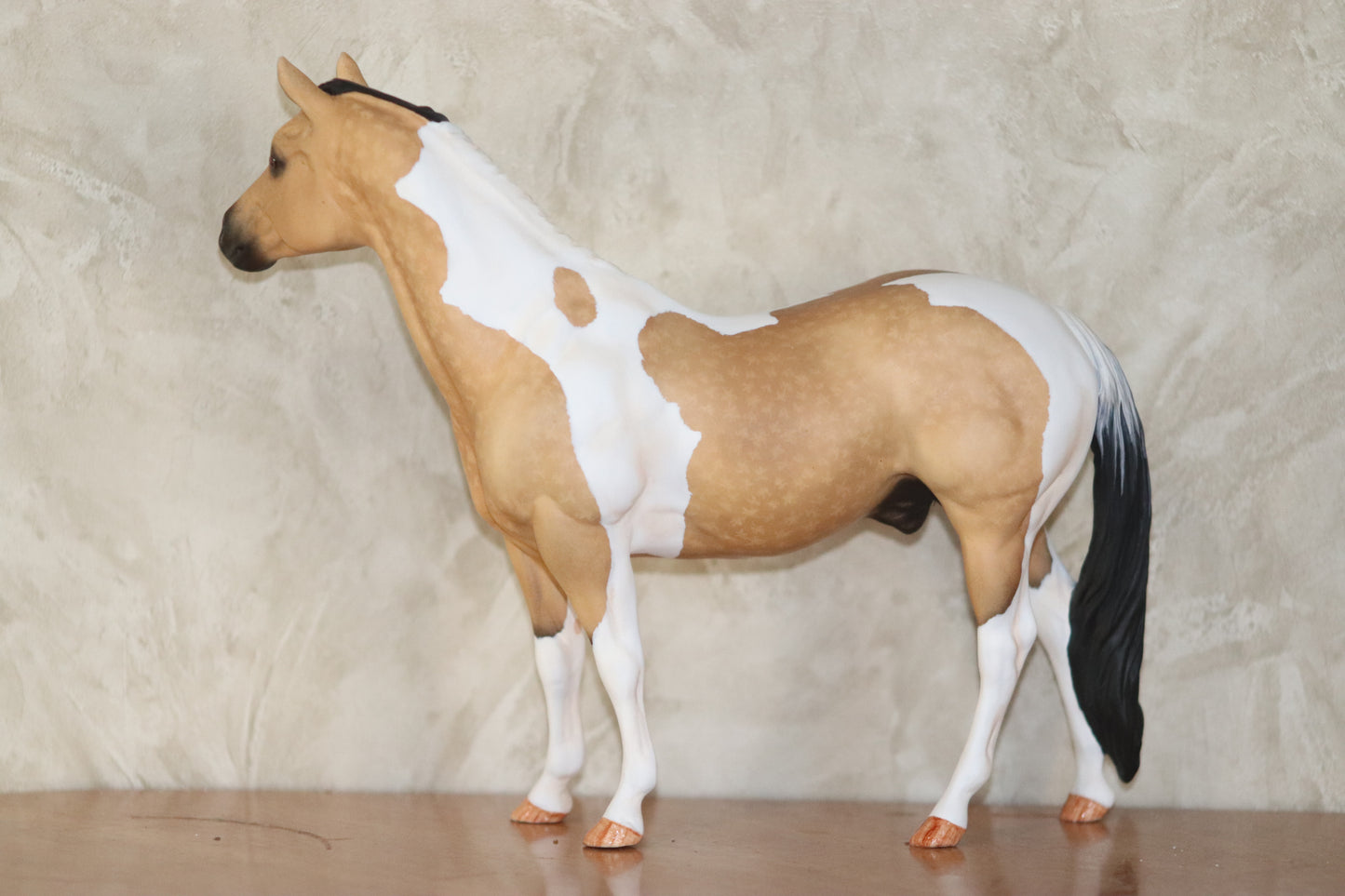 Custom Breyer Classic Stock Horse
