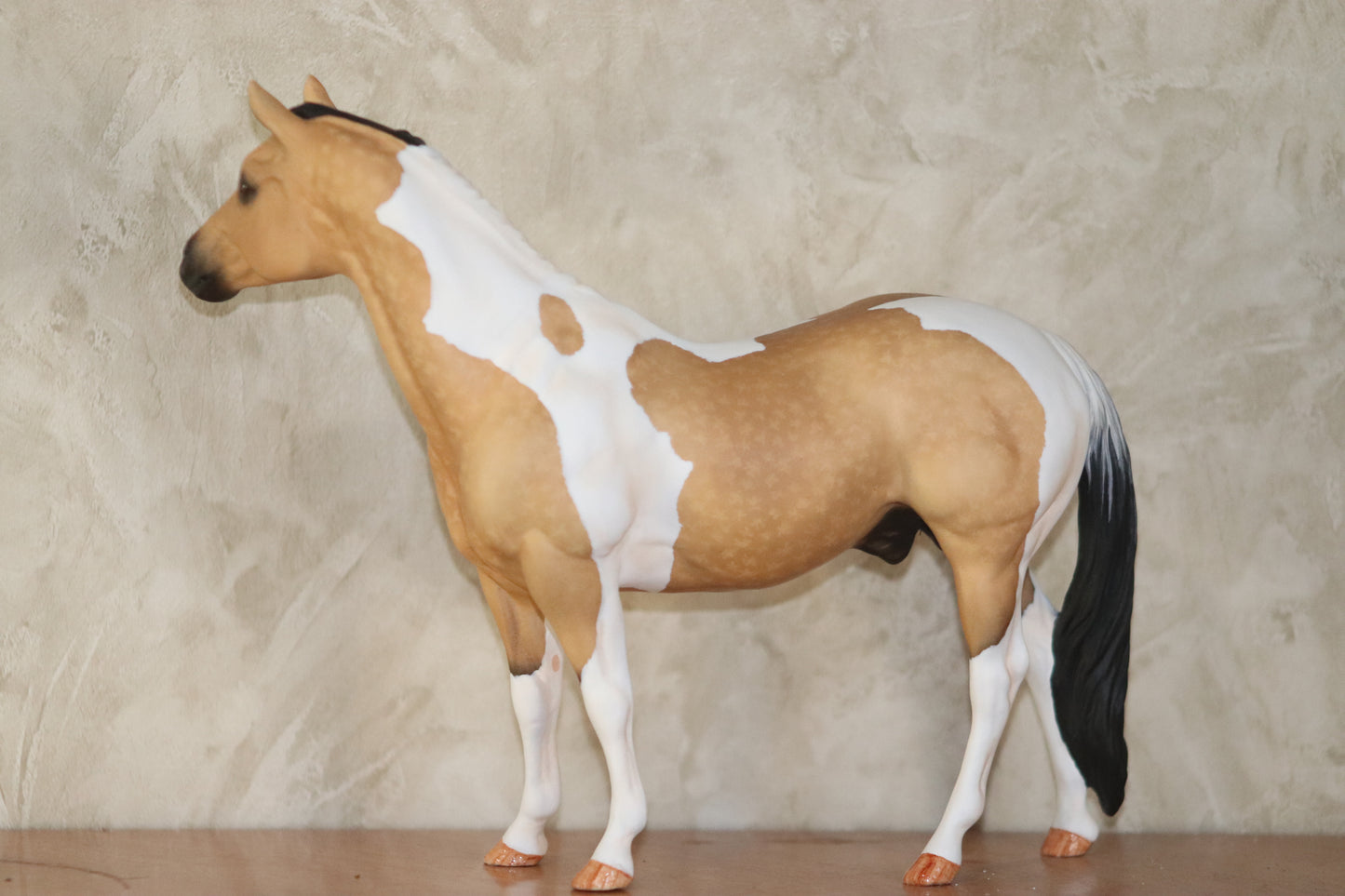 Custom Breyer Classic Stock Horse