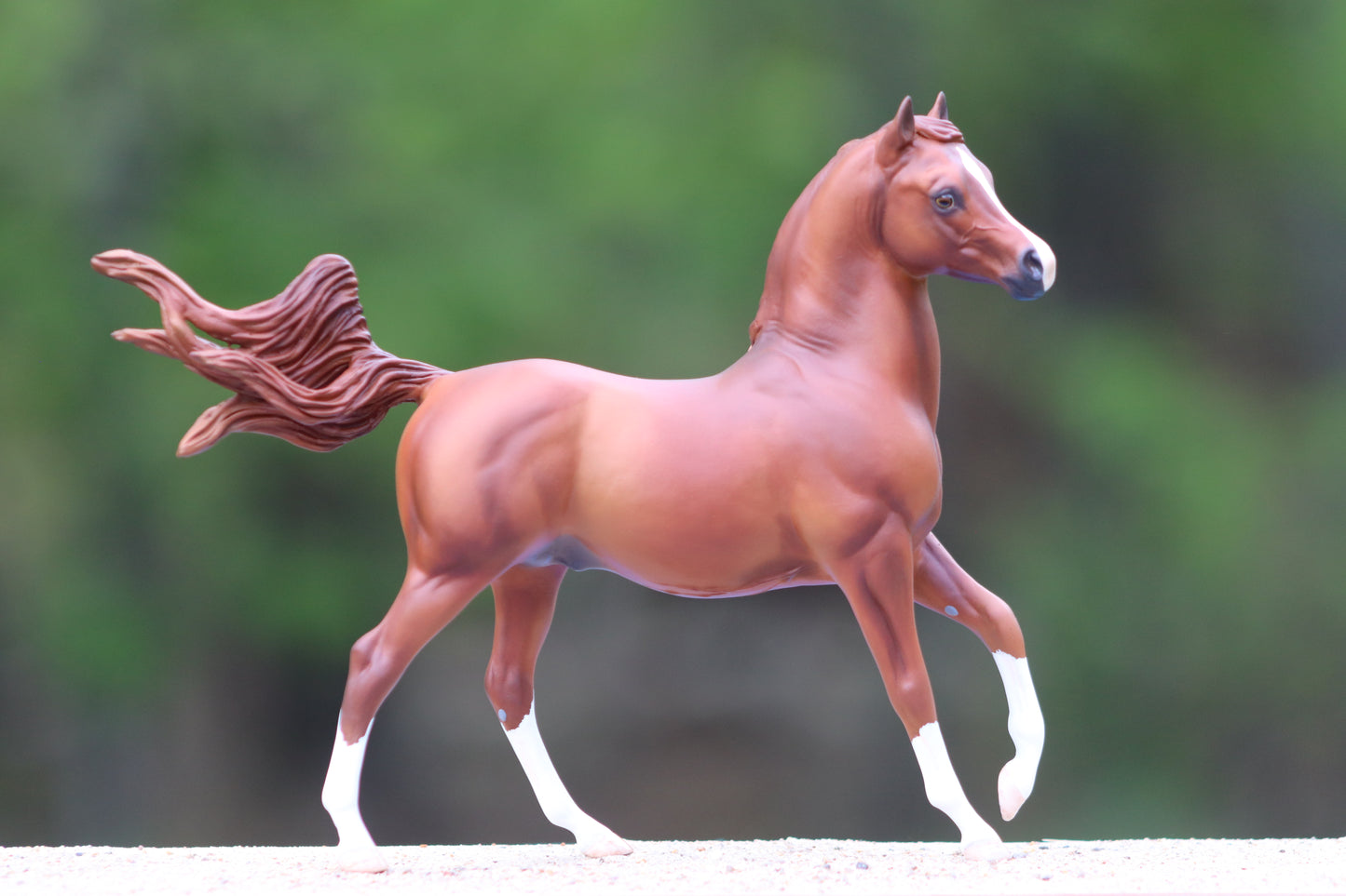 Custom Breyer Classic Arabian Stallion