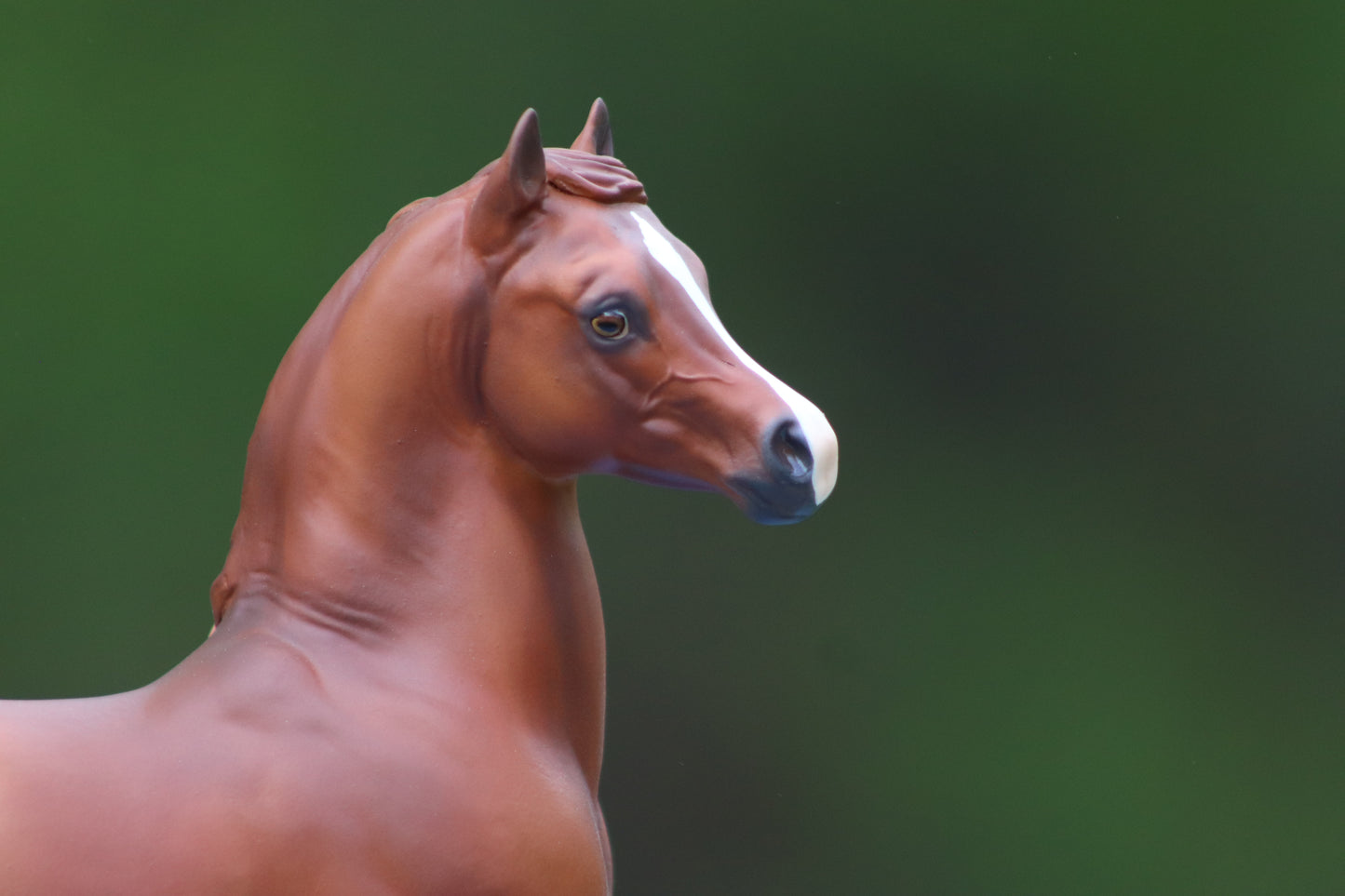 Custom Breyer Classic Arabian Stallion