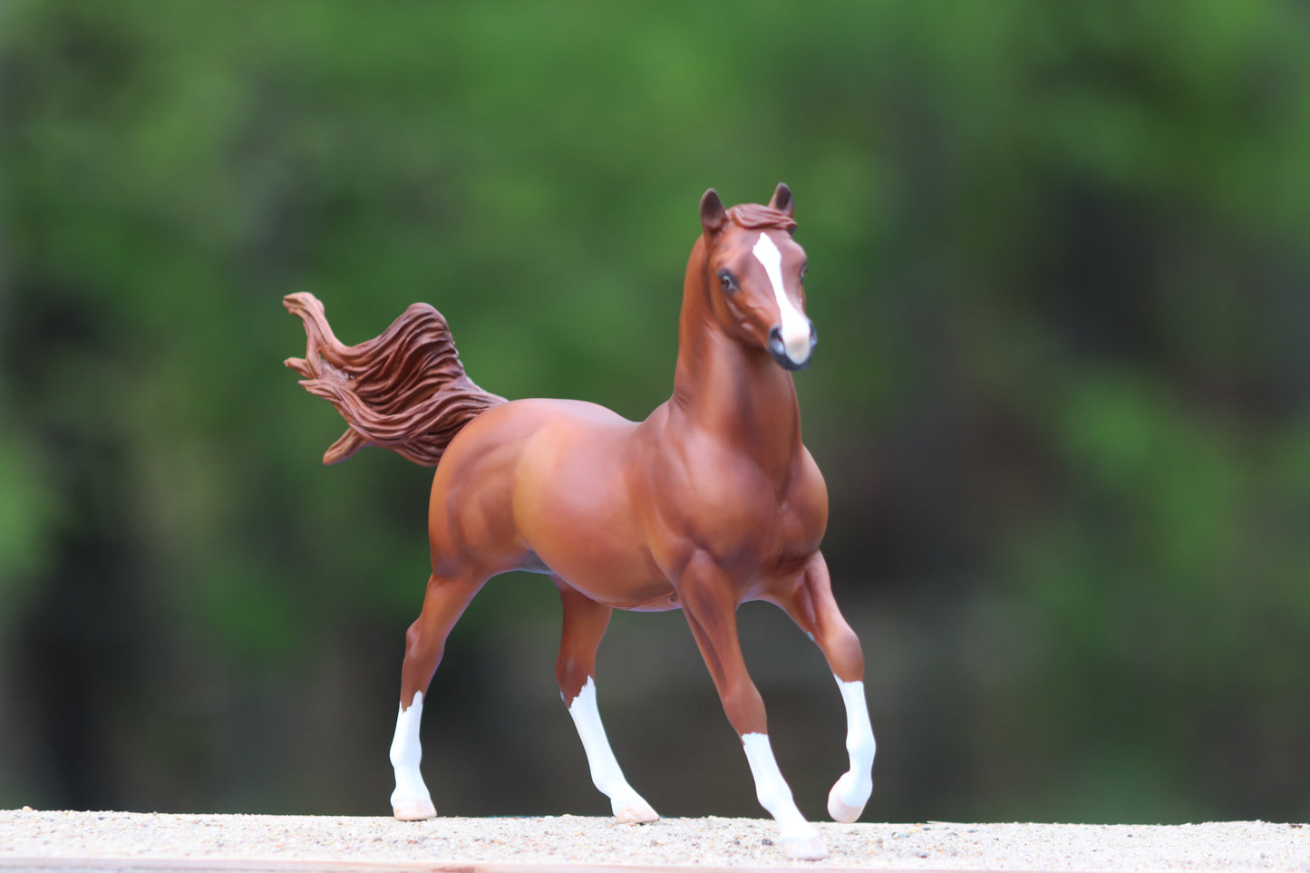Custom Breyer Classic Arabian Stallion