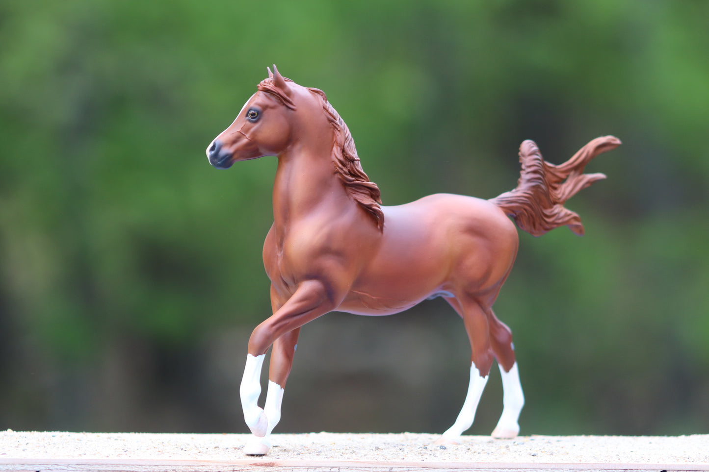Custom Breyer Classic Arabian Stallion