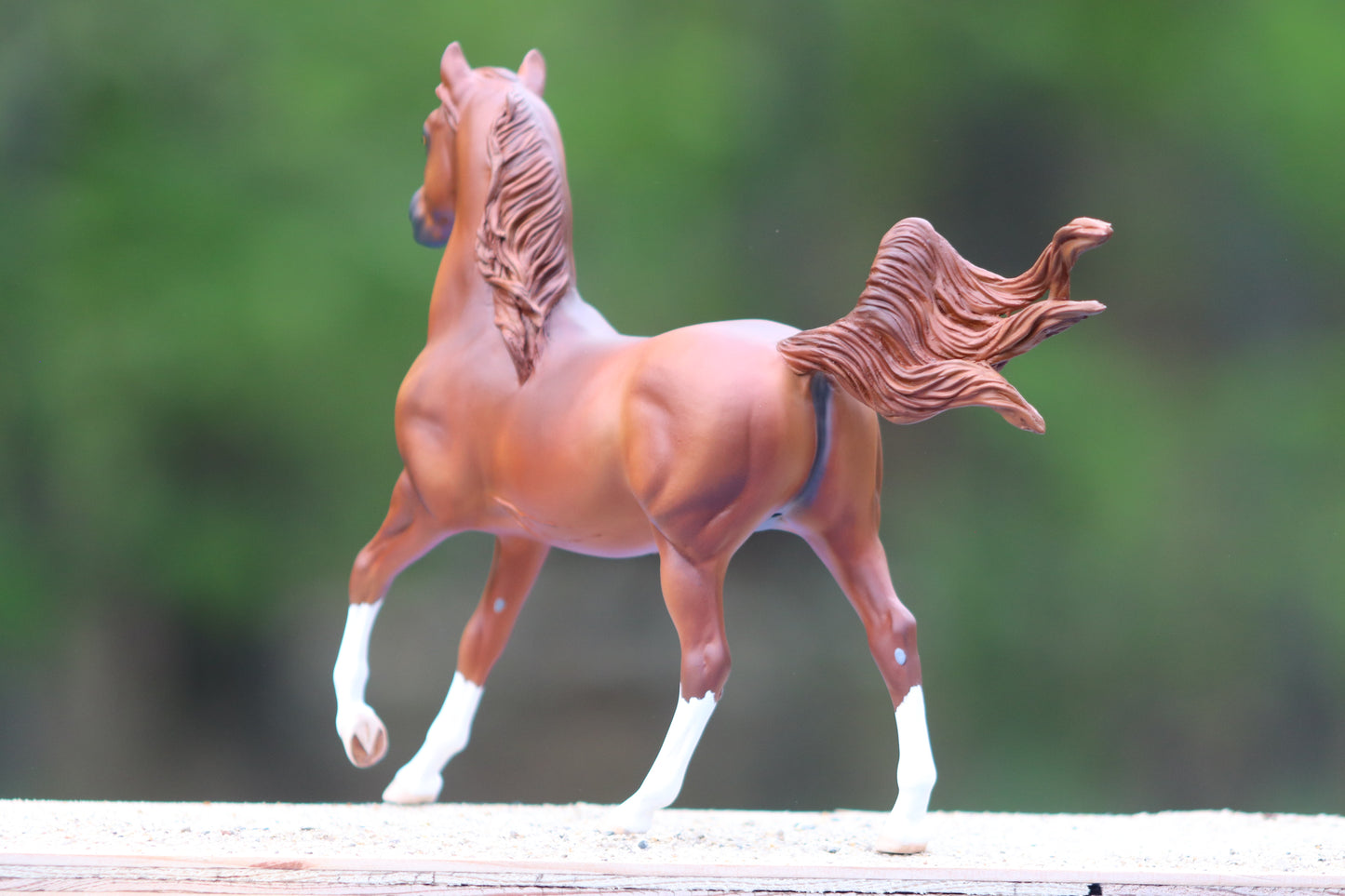 Custom Breyer Classic Arabian Stallion