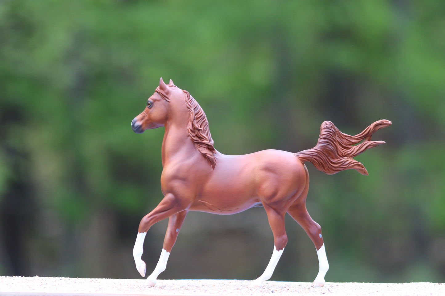 Custom Breyer Classic Arabian Stallion