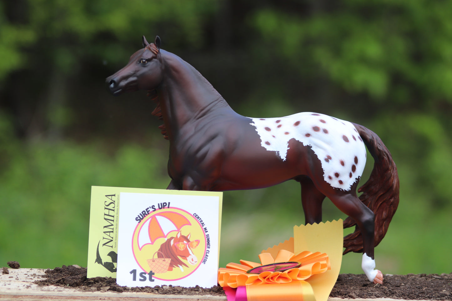 Custom Traditional Scale Breyer SCO
