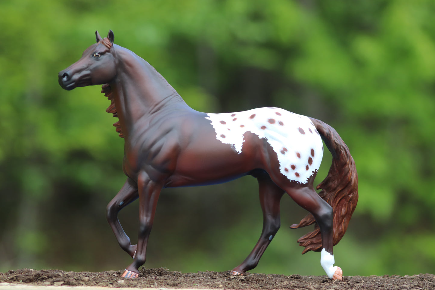 Custom Traditional Scale Breyer SCO