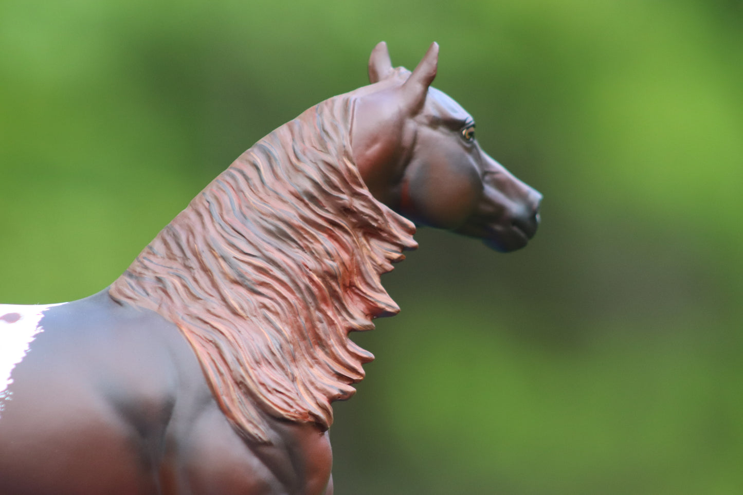 Custom Traditional Scale Breyer SCO