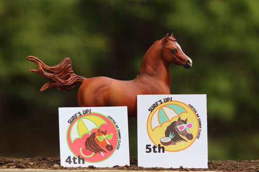 Custom Breyer Classic Arabian Stallion