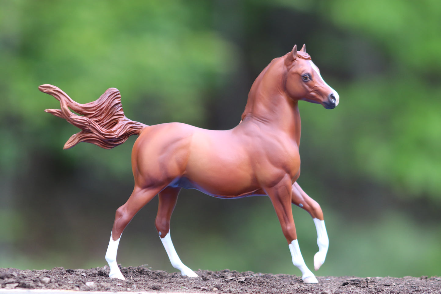 Custom Breyer Classic Arabian Stallion