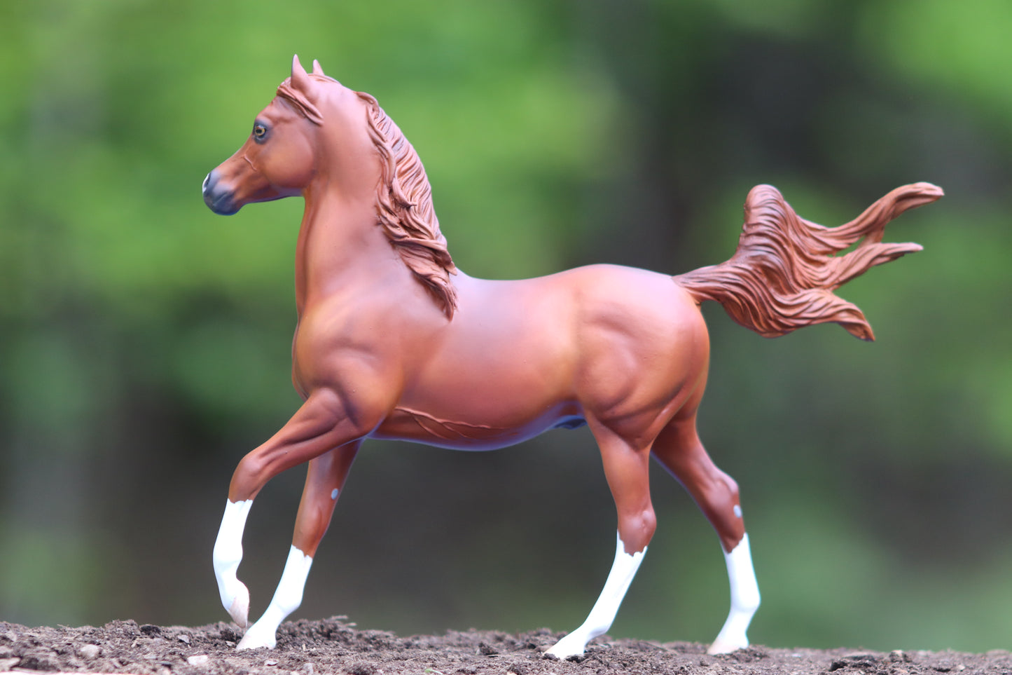 Custom Breyer Classic Arabian Stallion