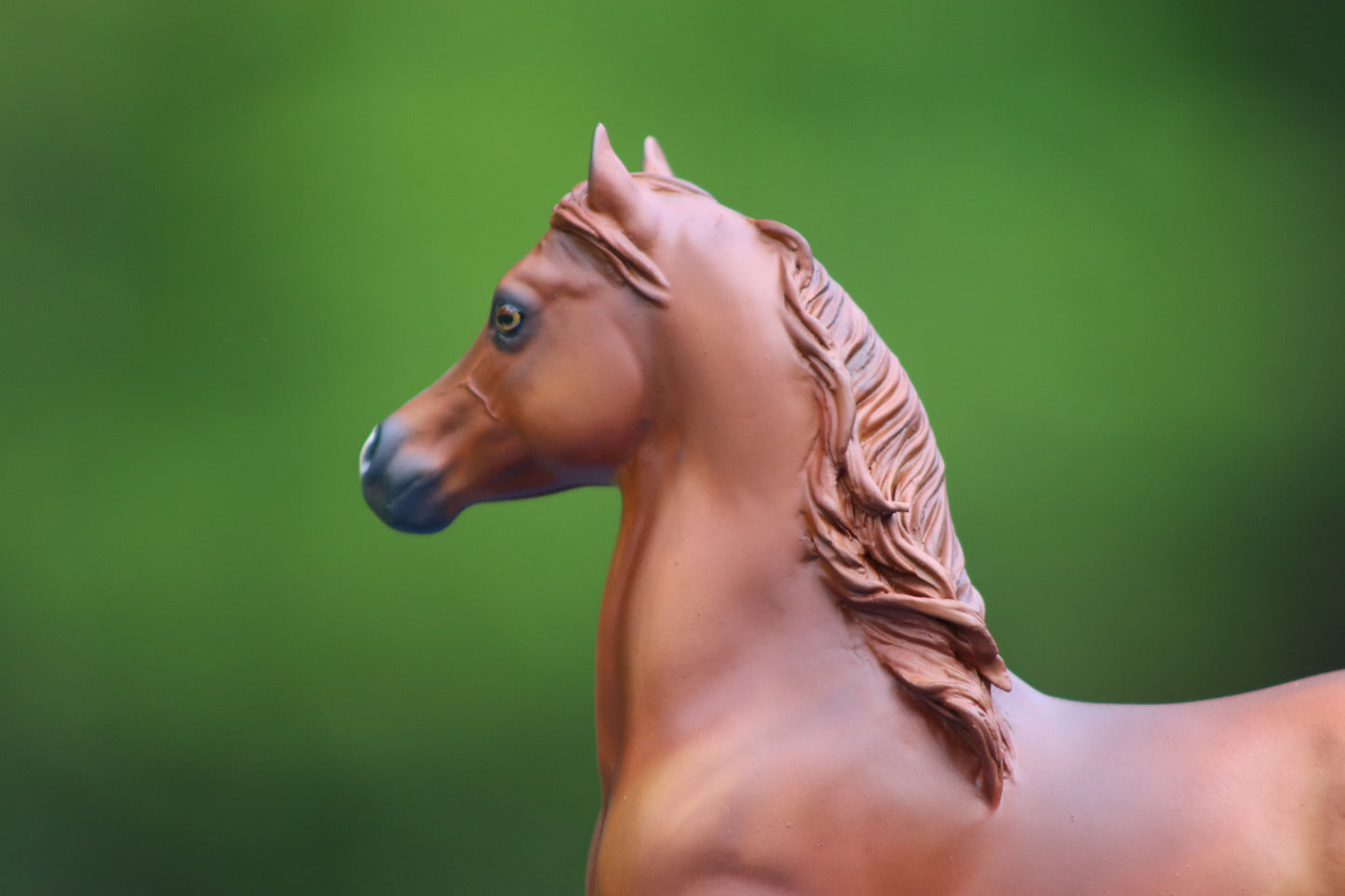 Custom Breyer Classic Arabian Stallion