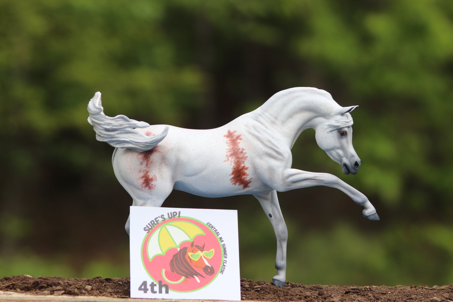 Custom Breyer Ashquar