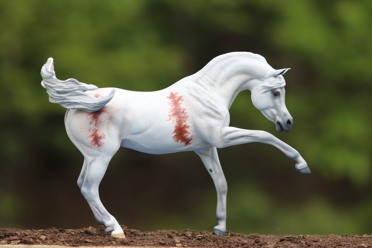 Custom Breyer Ashquar