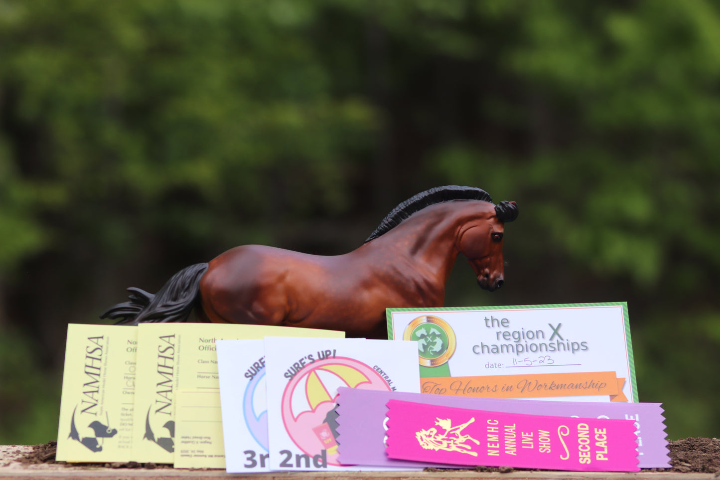 NAN qualified! Custom Breyer Pony