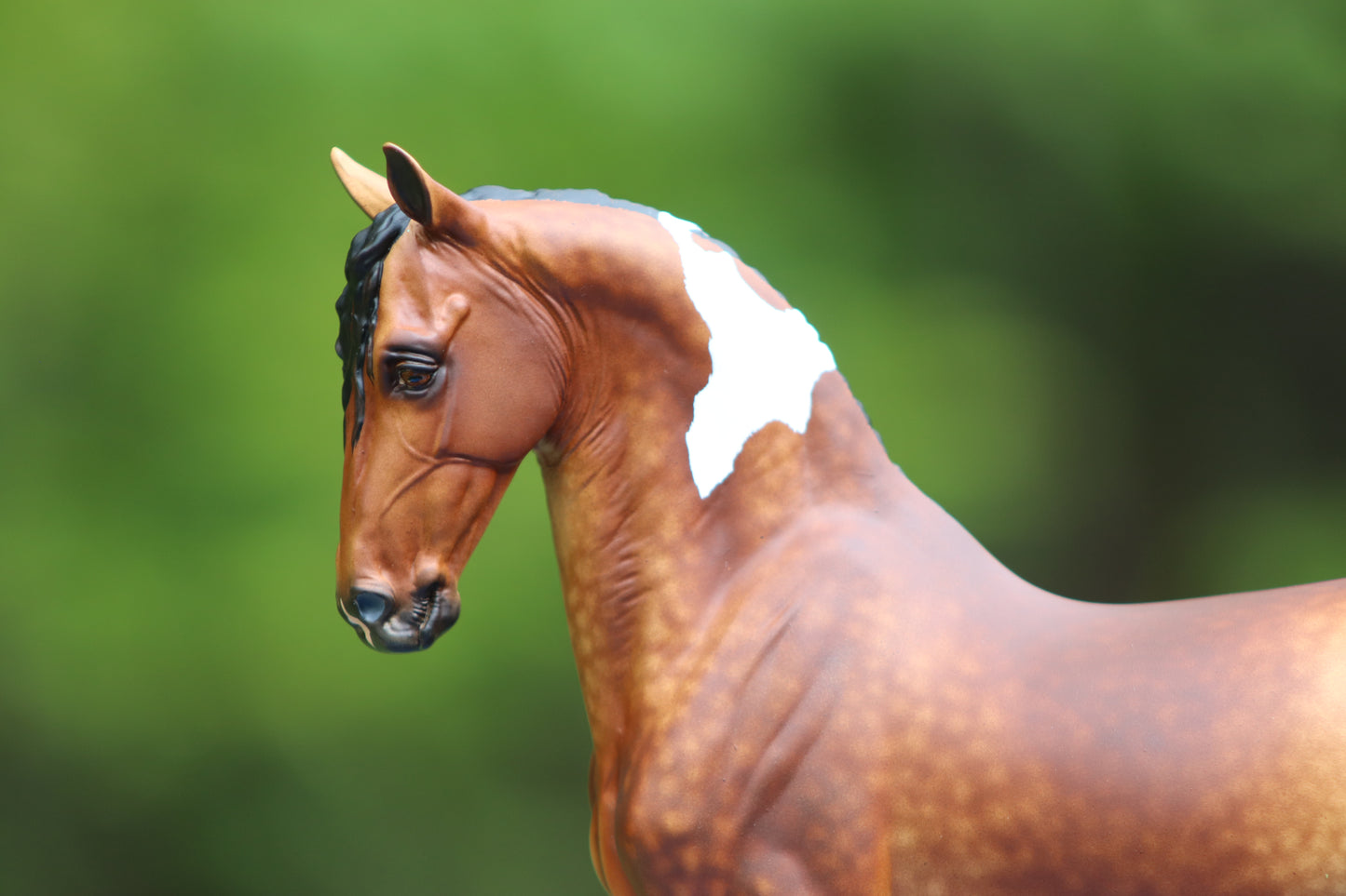 Custom Breyer Vermeer