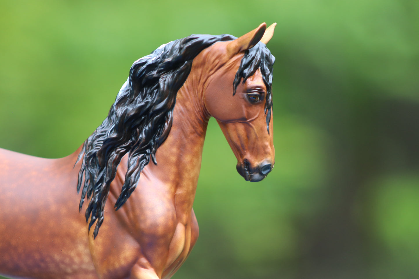 Custom Breyer Vermeer